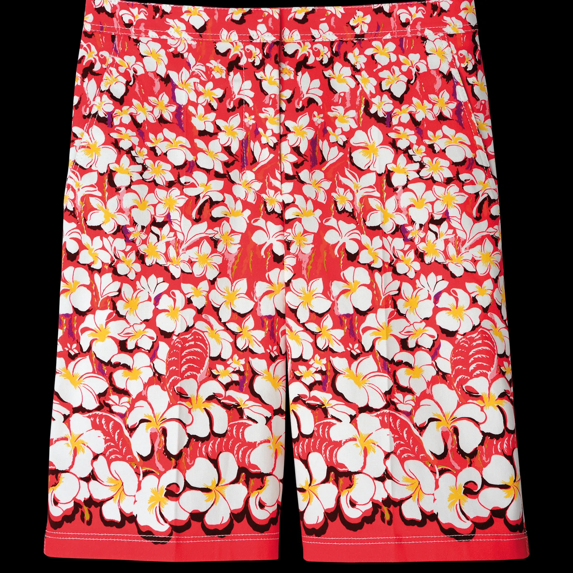 Bermuda Shorts