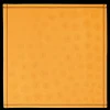 La Medaille Longchamp Shawl