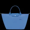 Le Pliage Green M Handbag