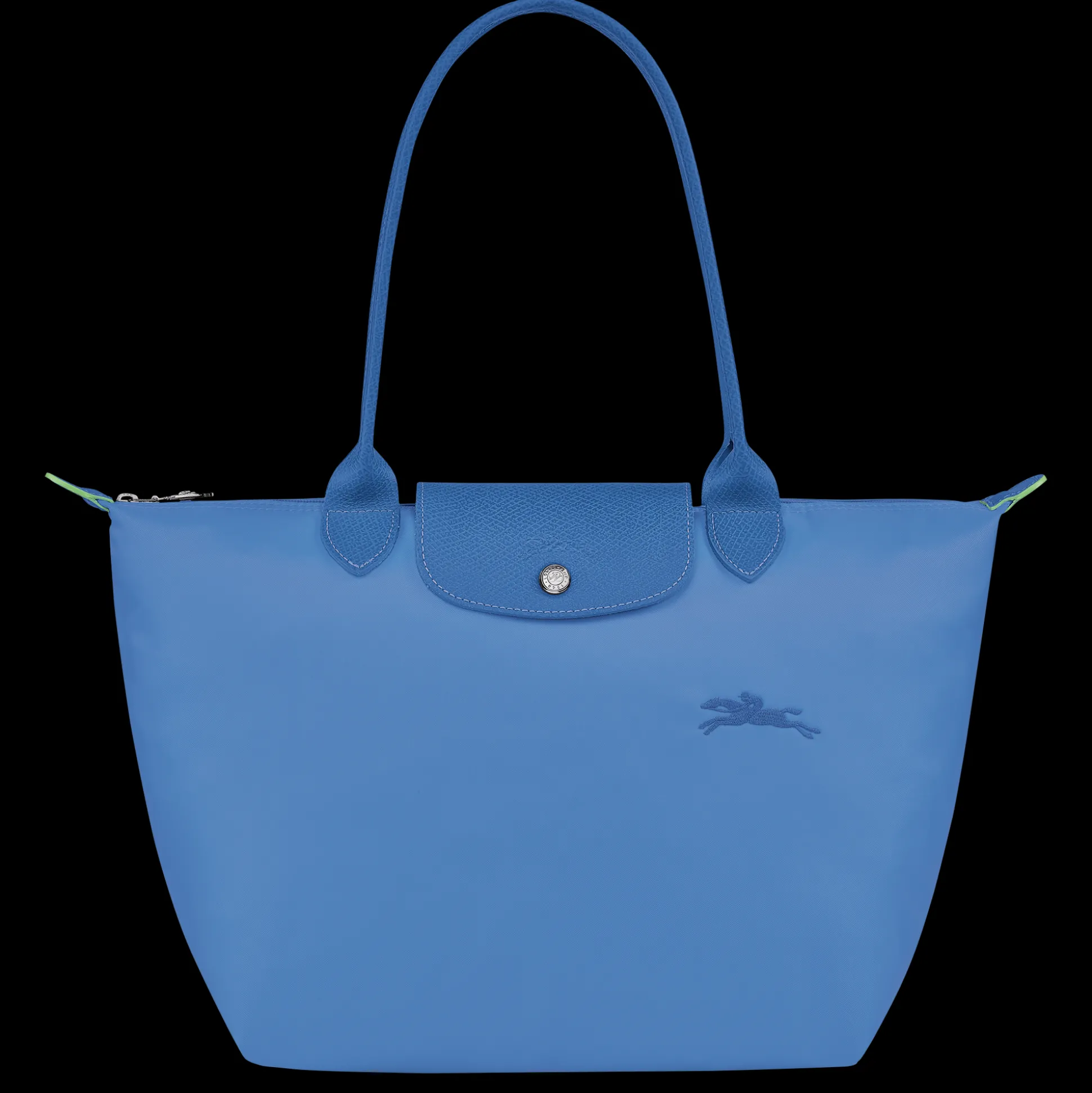 Le Pliage Green M Tote Bag