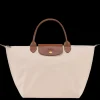 Le Pliage Original M Handbag