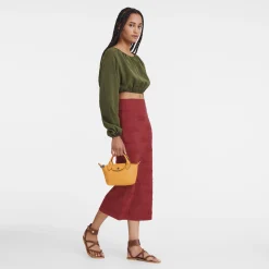 Le Pliage Xtra Xs Handbag