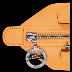 Le Pliage Xtra Xs Handbag