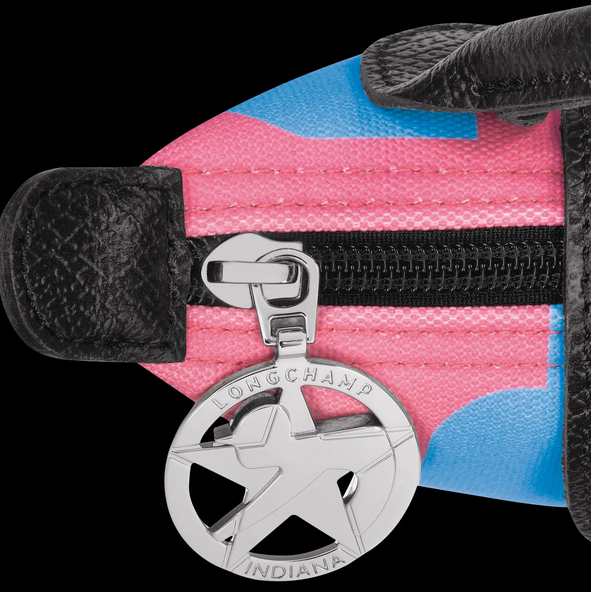 Longchamp X Robert Indiana Pouch