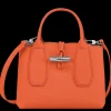 Roseau S Handbag